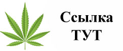Купить наркотики в Димитровграде